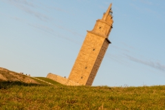 20-torre