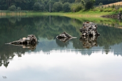 5-Embalse Beche, Abegondo, La Coruña