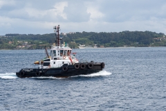 1-Barco-Remolcador