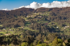 6-Grandal