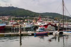 6-pano-O-Feixo
