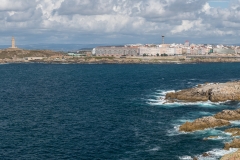 6-pano-Torre