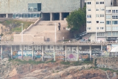 8-Sar